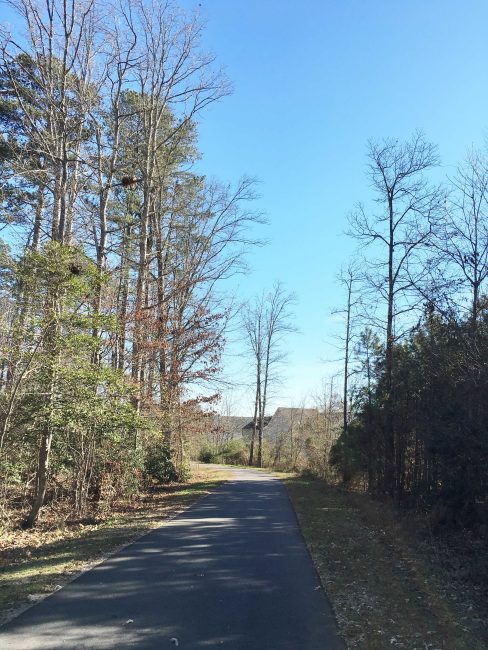 Raleigh, Greenway, Neuse RIver Trail