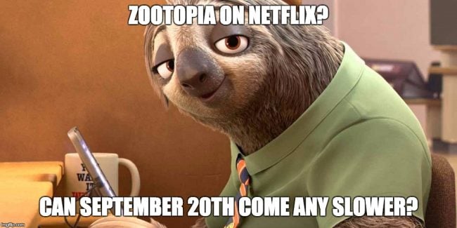 zootopia-meme