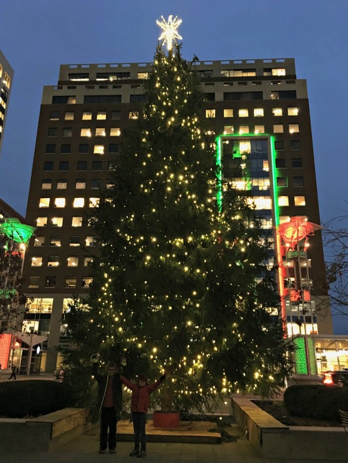 Raleigh City Plaza Tree at Christmas