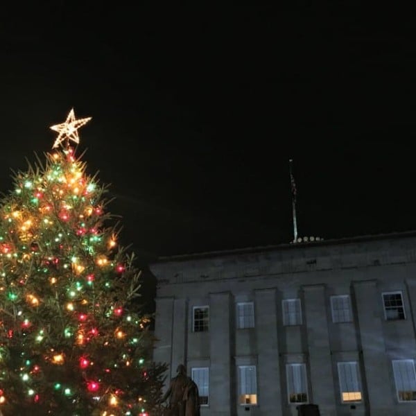 Raleigh Capitol Tree