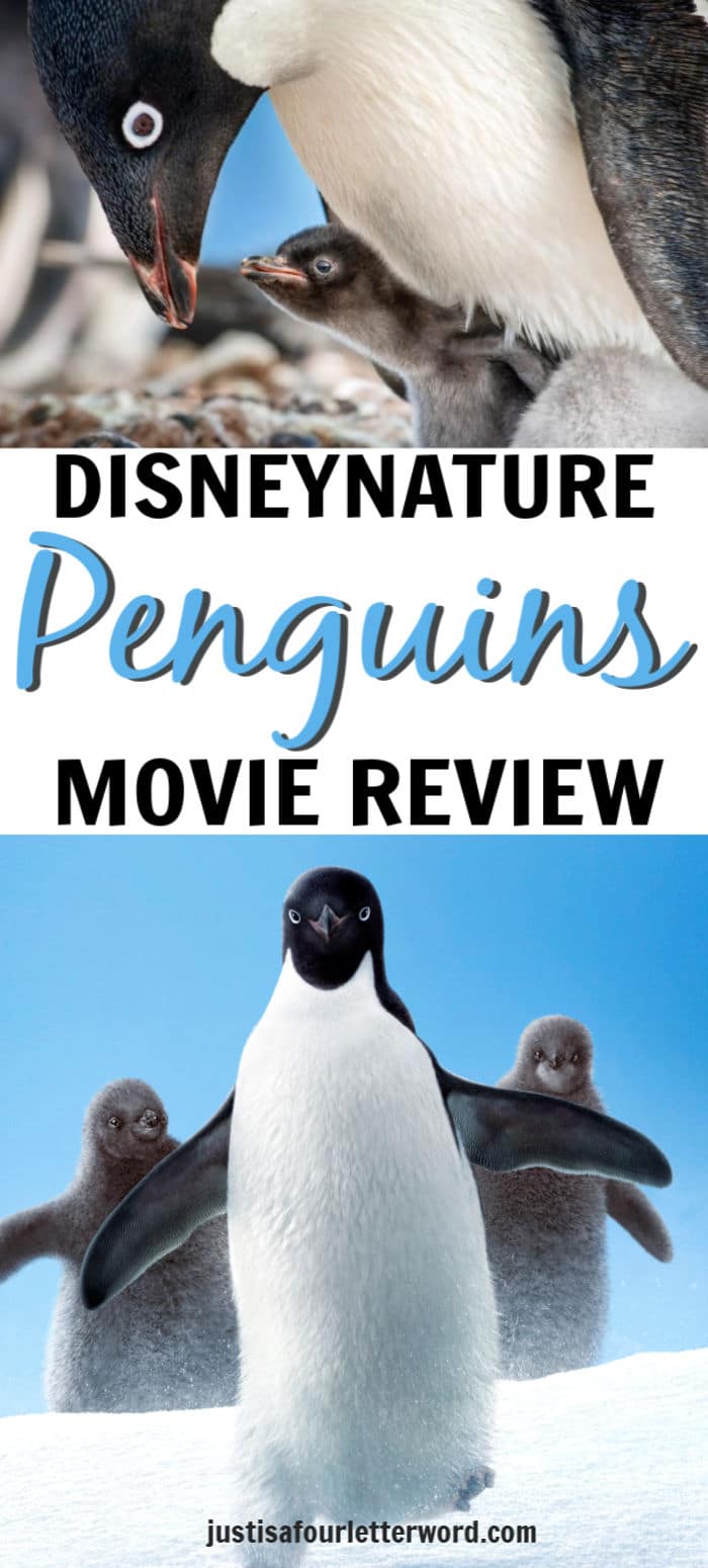 Disneynature Penguins Review