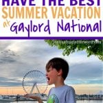 SUMMER VACATION AT GAYLORD NATIONAL PIN IMAGE