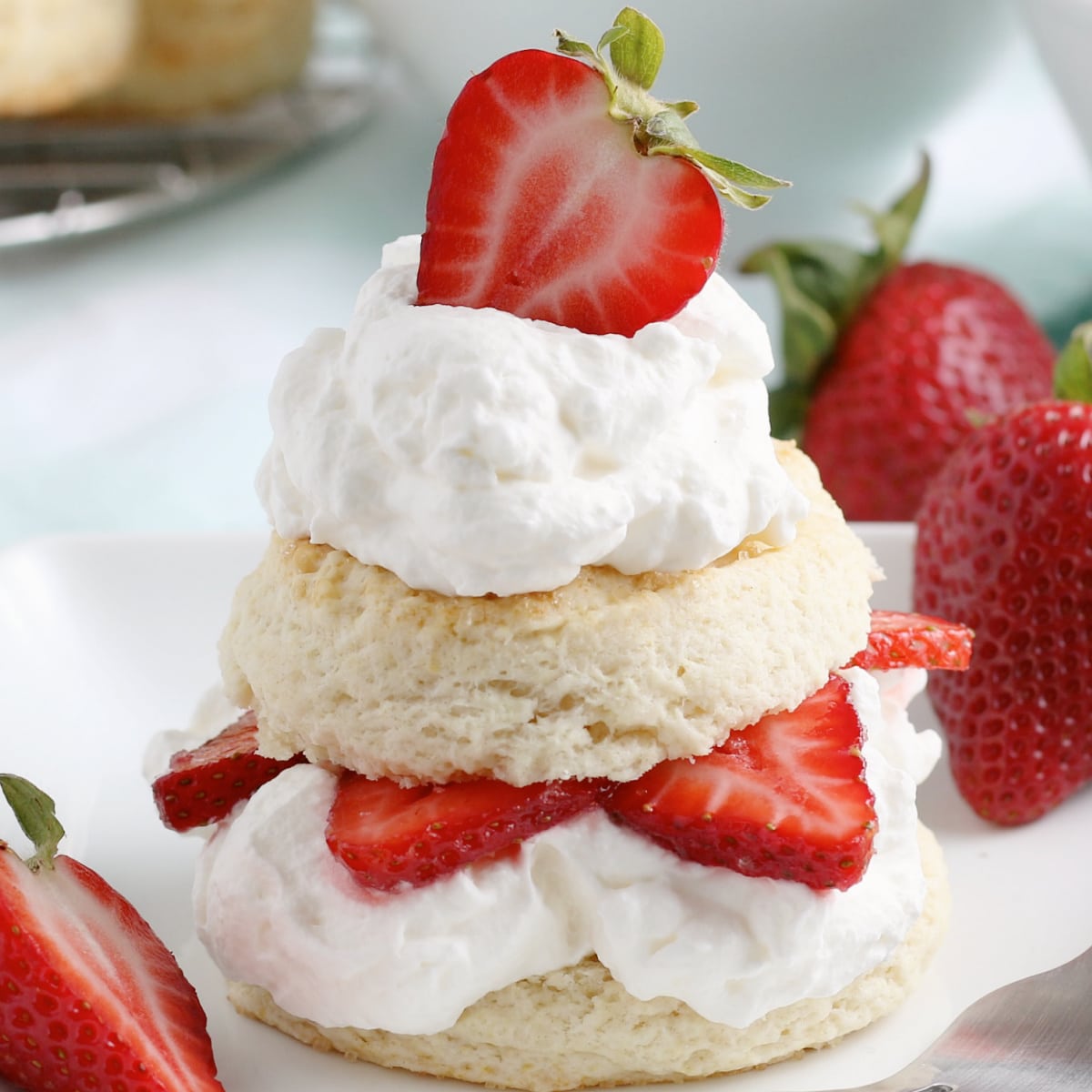 Strawberry Shortcake Recipe From Scratch Just Is A Four Letter Word   Strawberry Shortcake From Scratch Recipe 