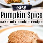 easy pumpkin spice cookie recipe
