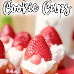 Gnome cookie cups