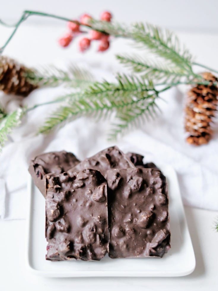 chocolate cranberry bars on a plate