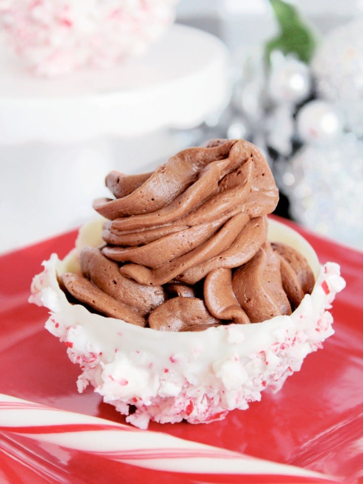 peppermint chocolate bowl with whipped chocolate mousse