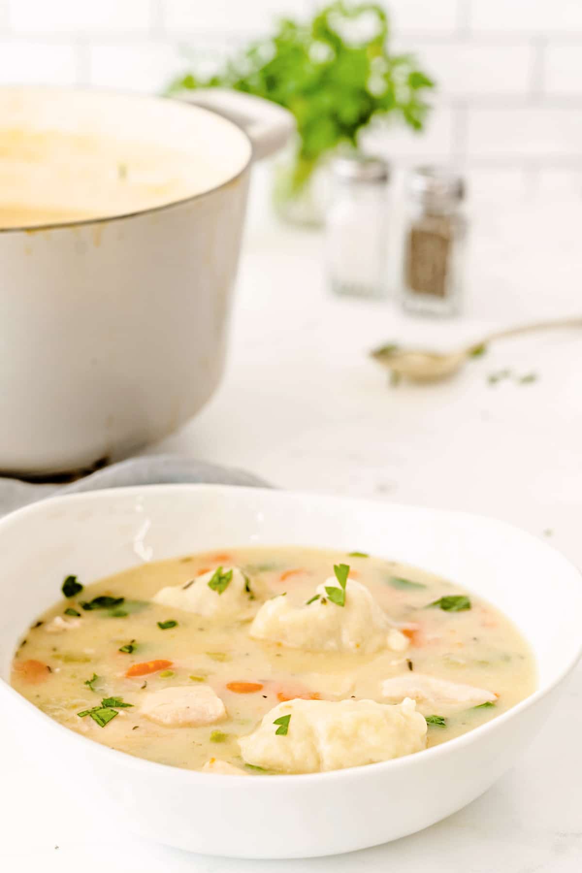 Bowl of chicken and dumplings soup