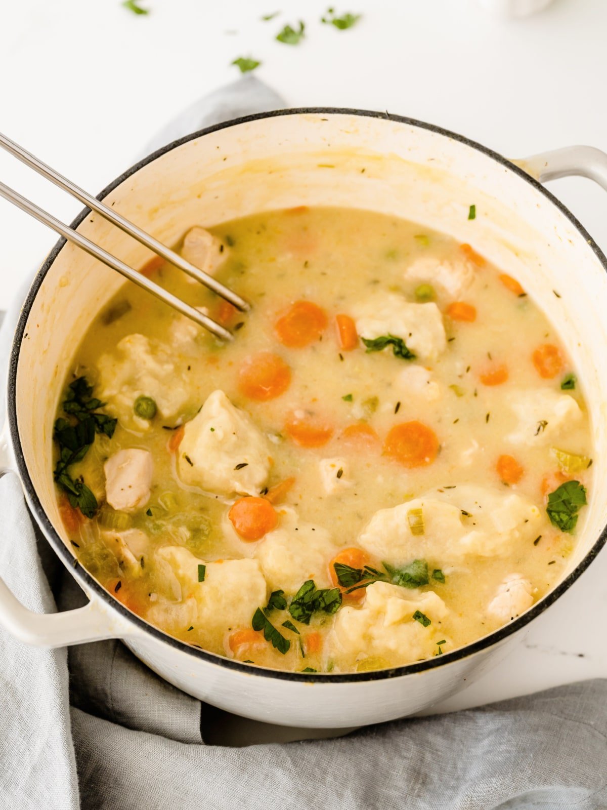 Old Fashioned Chicken and Dumplings in Pot