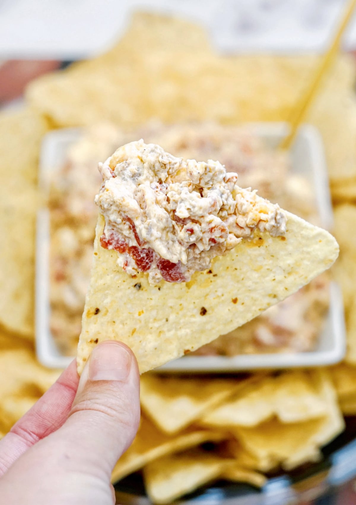 rotel sausage dip with chip
