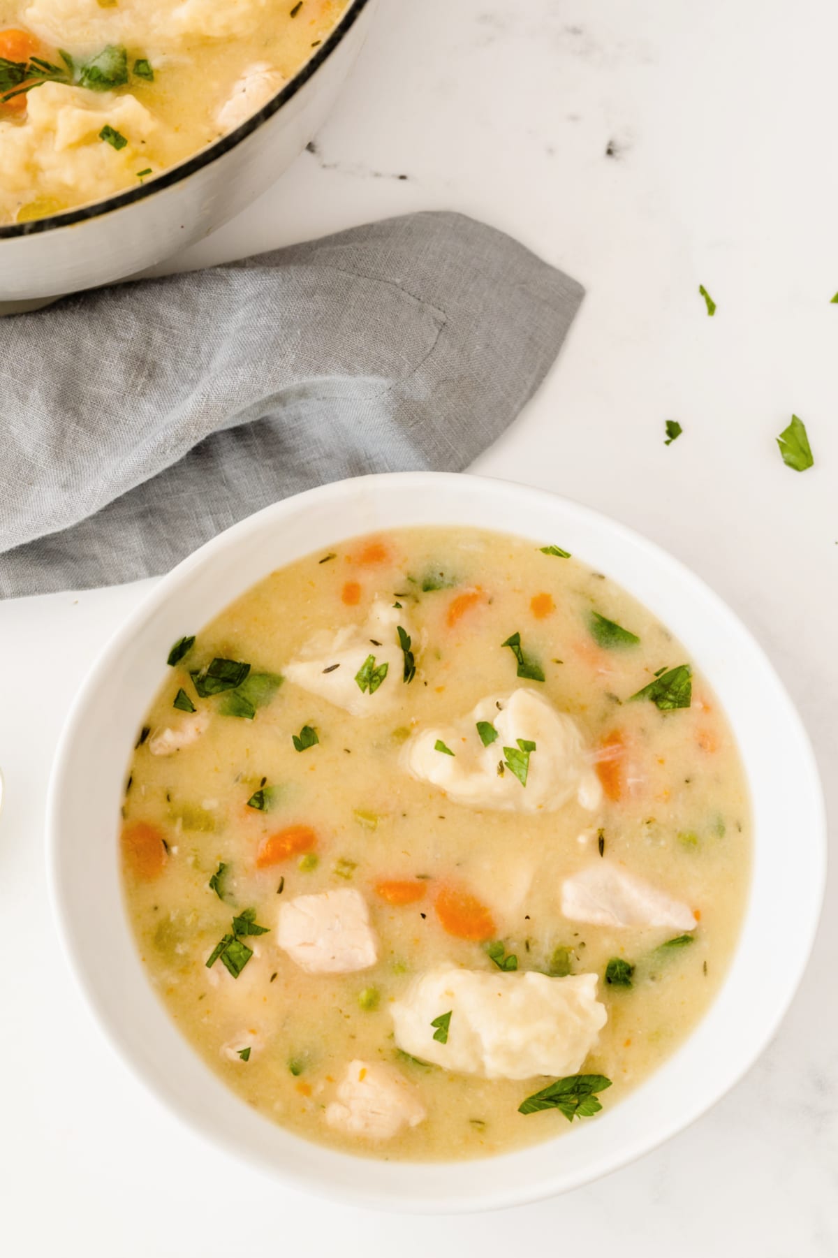 Chicken and Dumpling soup in bowl