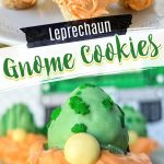 leprechaun gnome cookies pin