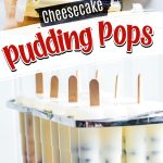 cheesecake pudding pops