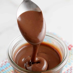 Chocolate Sauce with chocolate chips drizzle
