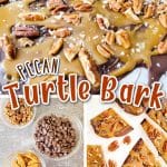 pecan turtle bark