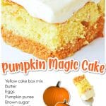 pumpkin magic cake share image