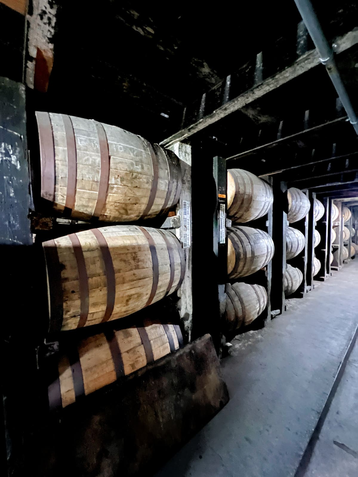 filled bourbon barrels at Buffalo Trace