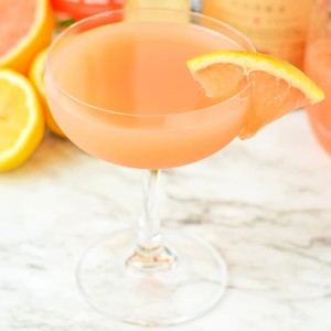 grapefruit martini recipe card