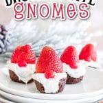 BROWNIE BITE GNOMES social sharing image with text