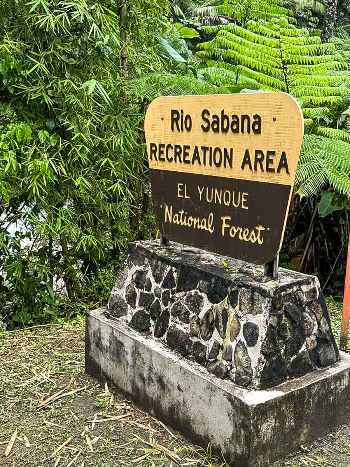 Sign for Rio Sabana Recreation Area in El Yunque National Forest, standing on a stone base with plants and trees in the background.