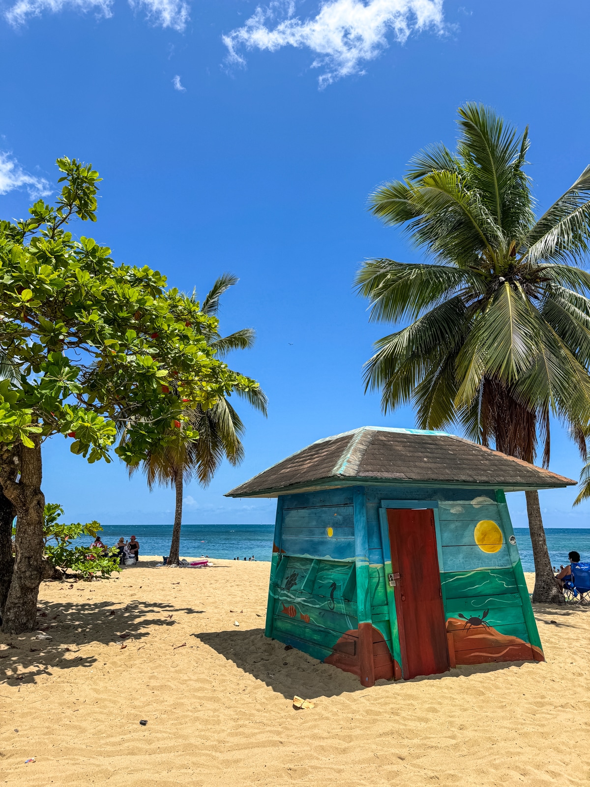 A painted beach hut stands on sandy beach with palm trees and clear blue sky in the background, near the ocean.