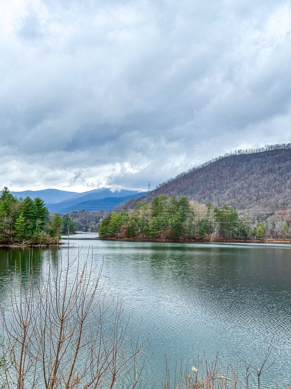 A tranquil lake surrounded by bare trees and evergreen forests, with mountains in the background under a cloudy sky.