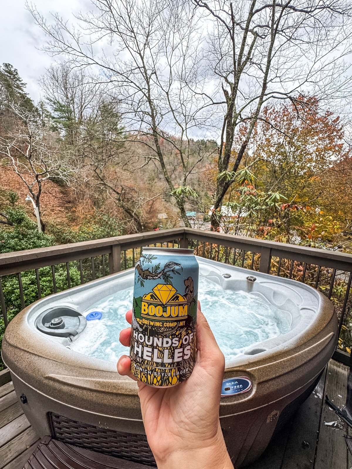 A can of beer is held up in front of a hot tub on a wooden deck overlooking a forested area with bare trees.