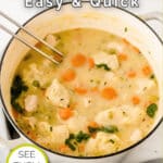 A pot of creamy chicken and vegetable soup is shown, with pieces of chicken, carrots, and herbs visible. The text reads "Chicken Recipes Easy & Quick," with "See Them All" highlighted.