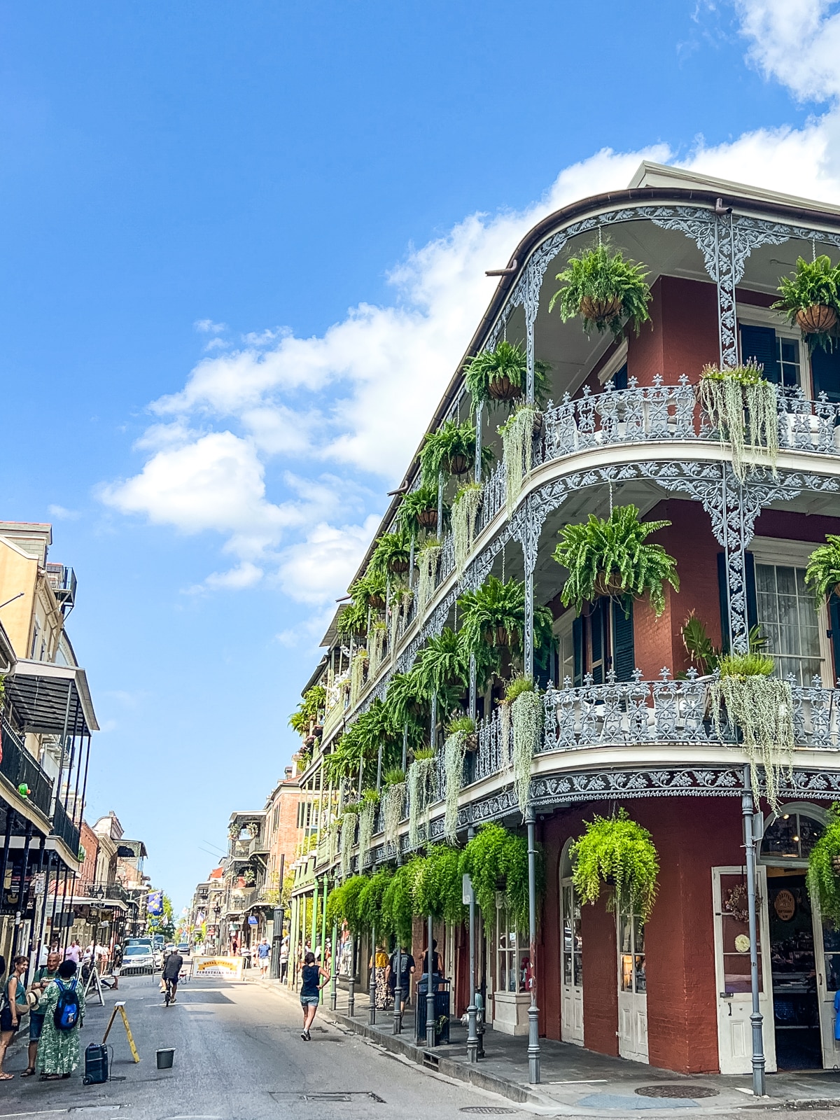 A street view of a historic building with ornate iron balconies and abundant hanging plants under a clear blue sky in the French Quarter of New Orleans.