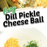 A bowl of cream cheese, shredded cheese, chopped dill pickles, and herbs; above, the mixed ingredients shaped into a cheese ball, coated with shredded cheese, and served with pickles.