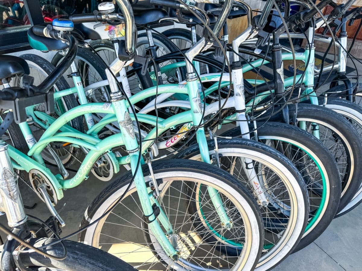Several mint green and white cruiser bicycles are parked closely together in a row outside a building.
