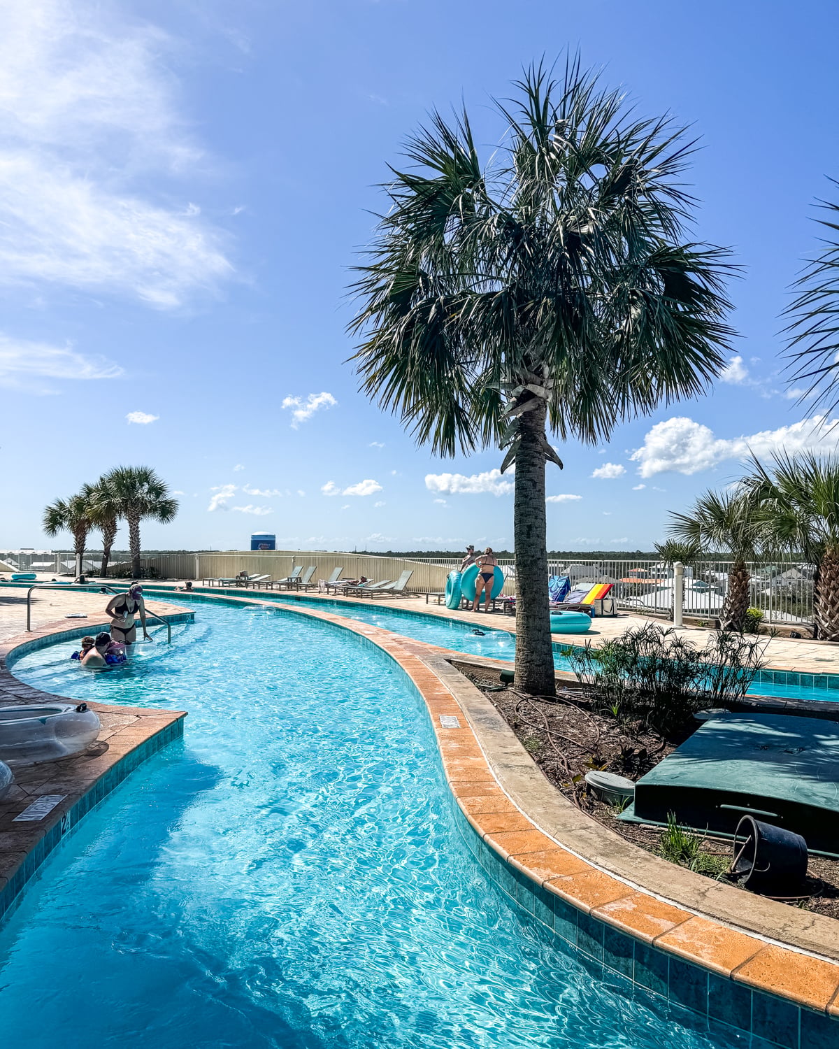 Outdoor pool area with a curved swimming pool, palm trees, lounge chairs, and people relaxing under a clear blue sky.