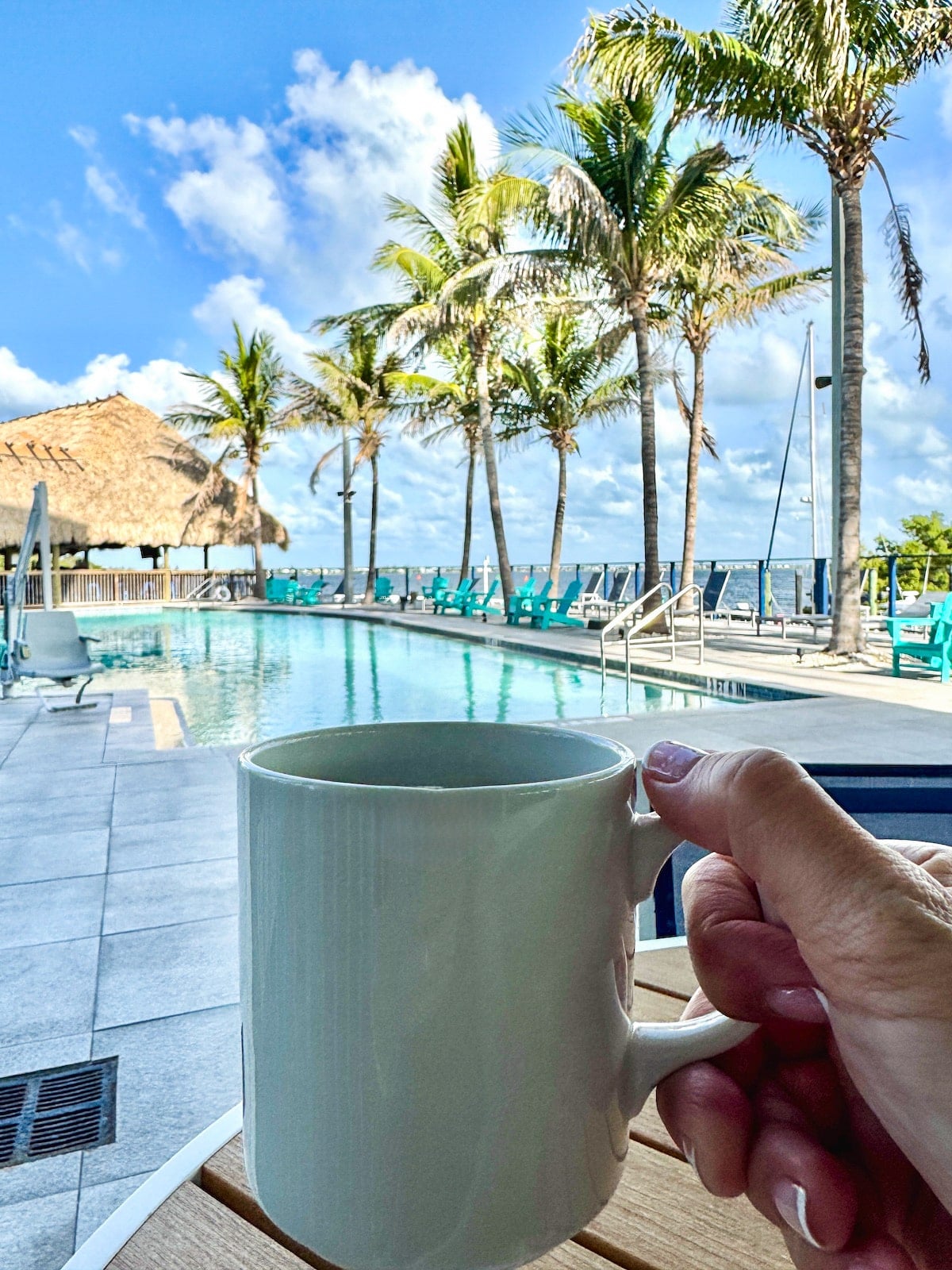 A hand holds a white mug in front of a poolside scene with palm trees, blue sky, and lounge chairs near the water.